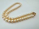 A lovely late 1980s Mappin and Webb Akoya pearl necklace with 18carat gold clasp in orignal box