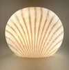 A Murano glass shell lamp by Peill and Putzler